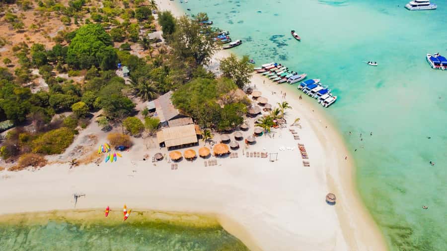 Koh Samui: Pig Island & Koh Tan Speedboat Tour with Lunch - Snorkeling around Koh Tan