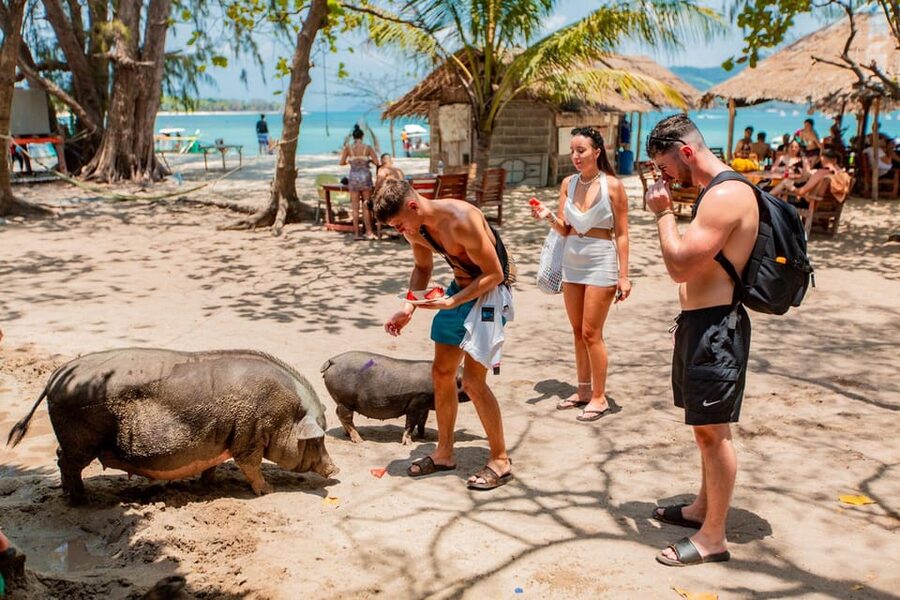 Koh Samui: Pig Island & Koh Tan Speedboat Tour with Lunch - Is the $47 price good value?