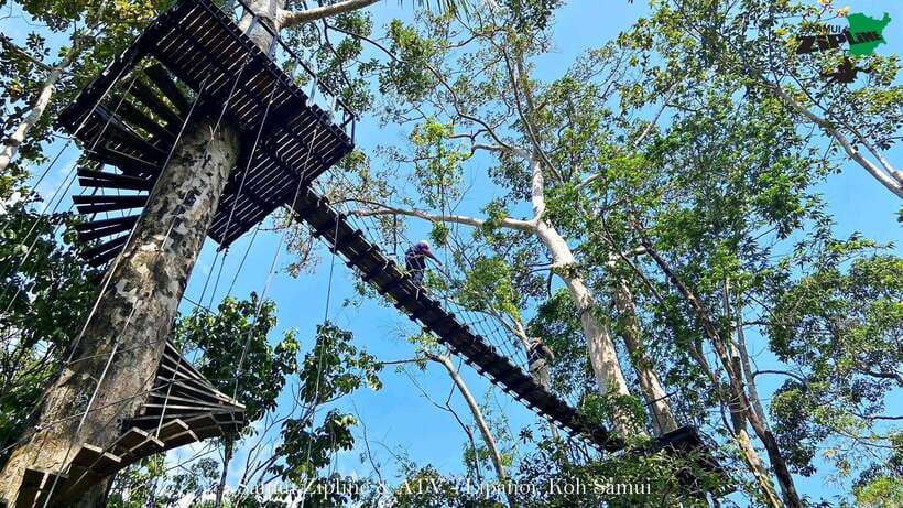 Koh Samui: Samui Zipline Adventure with Transfer service - Is $57 a fair price?