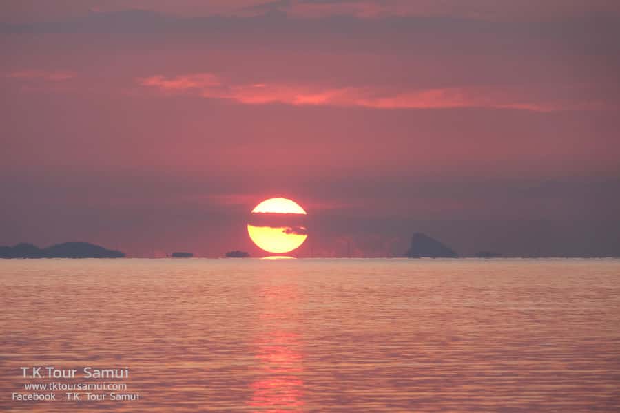 Koh Samui: Sunset Pig Island and Snorkeling Koh Tan w/Dinner - Dinner at T.K. Restaurant