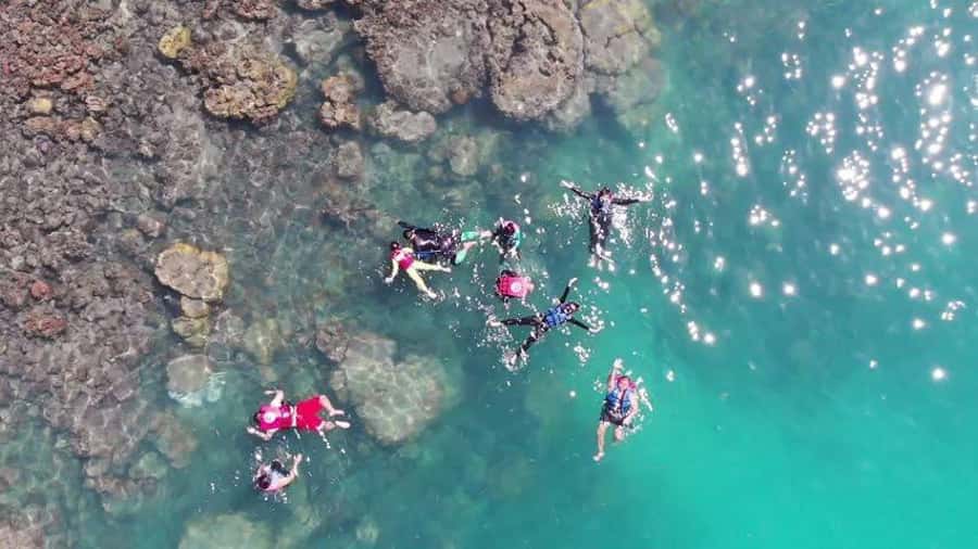 Koh Samui: Sunset Pig Island and Snorkeling Koh Tan w/Dinner - Pickup from Koh Samui and the road to Thong Krut