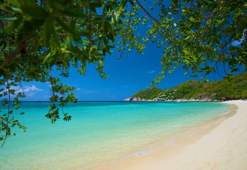 Koh Tao: First Light Snorkel Adventure with Oxygen Tours - Why an early boat makes a difference