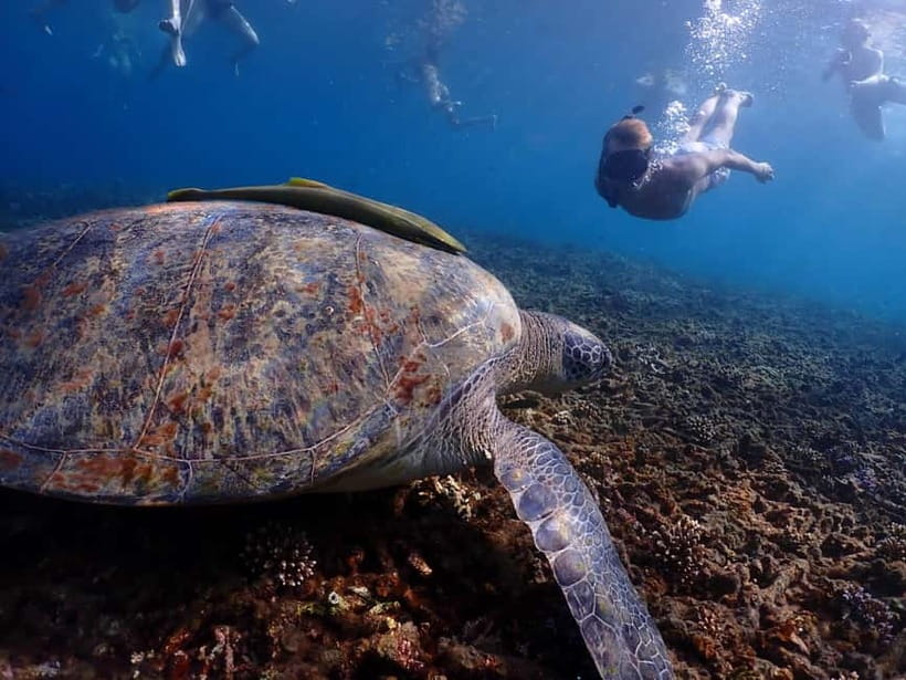 Koh Tao: Golden Hour Getaway – Your Late Start to Paradise - Why the noon start works so well