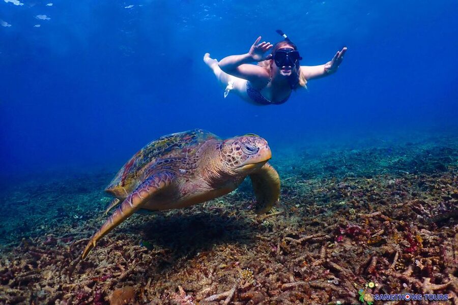 Koh Tao: Islands Snorkeling Highlights Day Tour & Lunch - Hin Wong Bay and underwater pinnacles