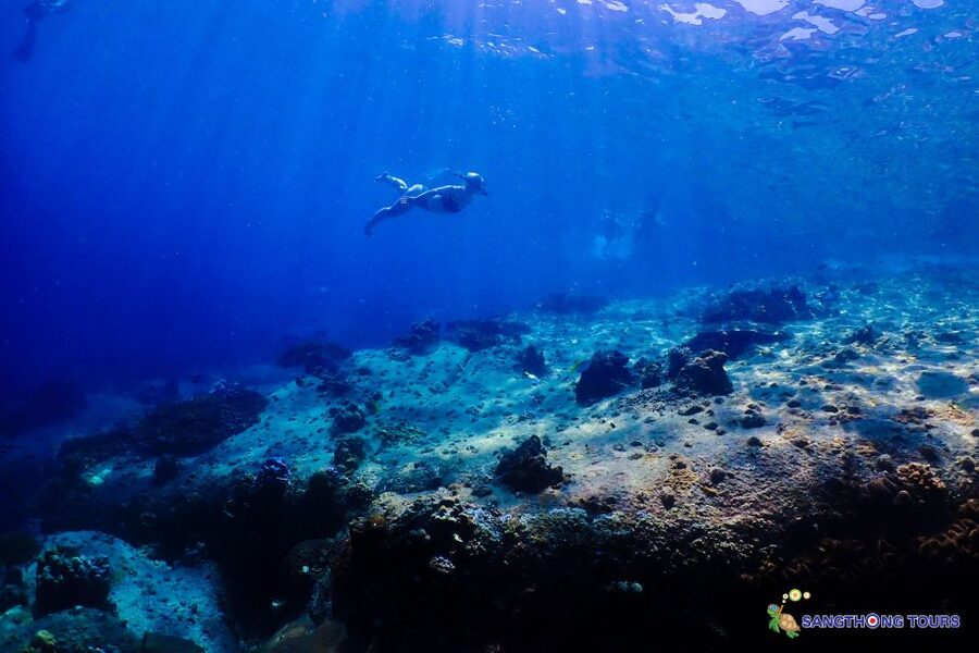 Koh Tao: Islands Snorkeling Highlights Day Tour & Lunch - Koh Nangyuan and the famous viewpoint
