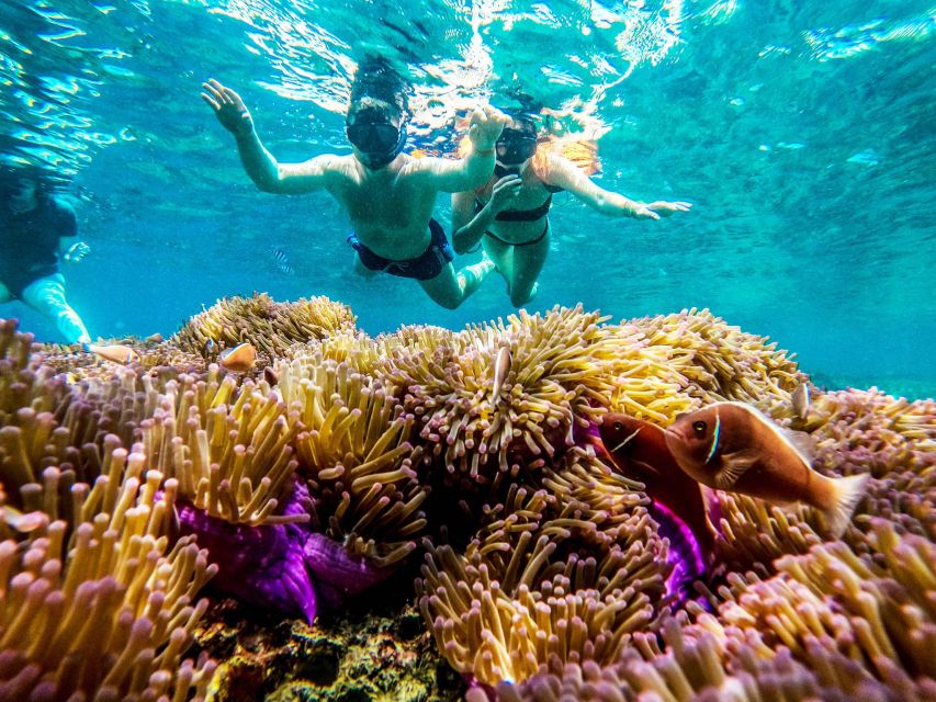 Koh Tao: Koh Nangyuan and the Hidden Bays Trip by the Oxygen - Who will enjoy this trip most