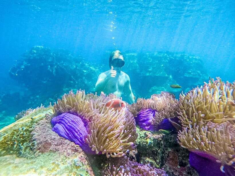 Koh Tao: Koh Nangyuan & Hidden Bays Snorkeling Tour w/ Lunch - Why this $27 Koh Tao boat trip offers strong value