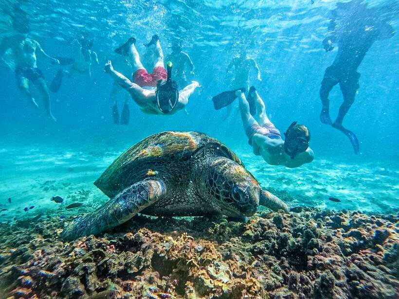 Koh Tao: Koh Nangyuan & Hidden Bays Snorkeling Tour w/ Lunch - Koh Nang Yuan and the Japanese Gardens