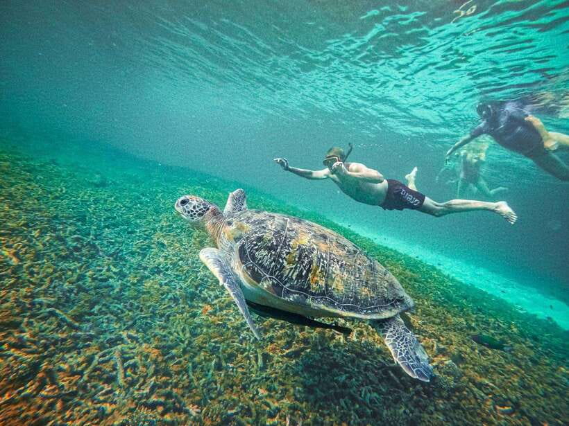 Koh Tao: Koh Nangyuan & Hidden Bays Snorkeling Tour w/ Lunch - The crew and the free GoPro photos