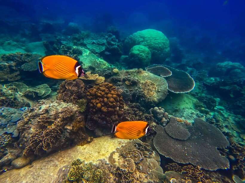 Koh Tao: Koh Nangyuan & Hidden Bays Snorkeling Tour w/ Lunch - How tiring and sunny is the day?