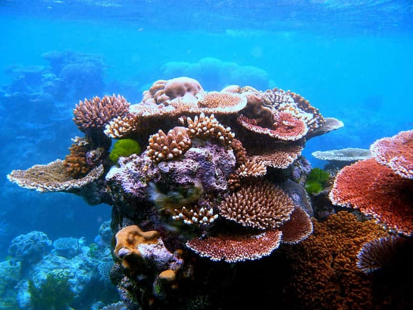 Koh Tao: Snorkeling and Sunset Tour - The guide makes the difference
