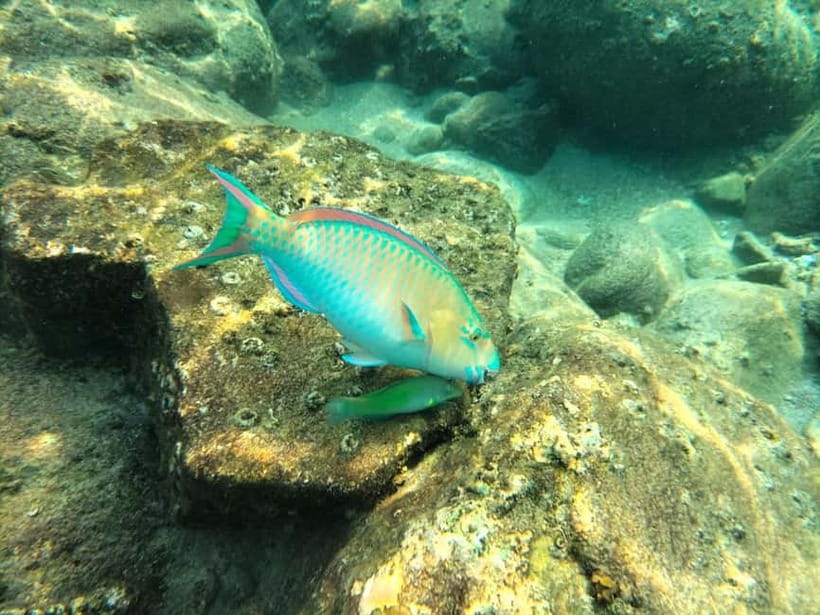 Koh Tao: Snorkeling and Sunset Tour - Conditions can change the plan