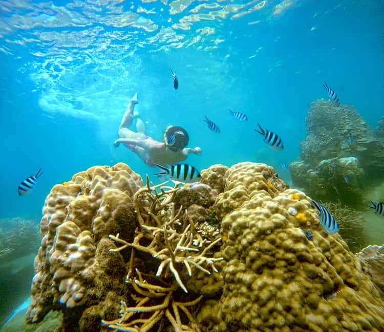 Koh Tao: Snorkeling Trip to Nang Yuan Island & Hidden Bays - Nang Yuan Island and the Japanese Garden