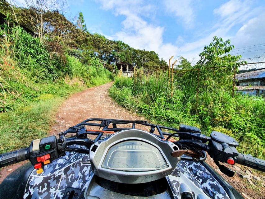 Krabi: 1-Hour ATV Adventure Through Beautiful Nature - Forest details beyond the handlebars