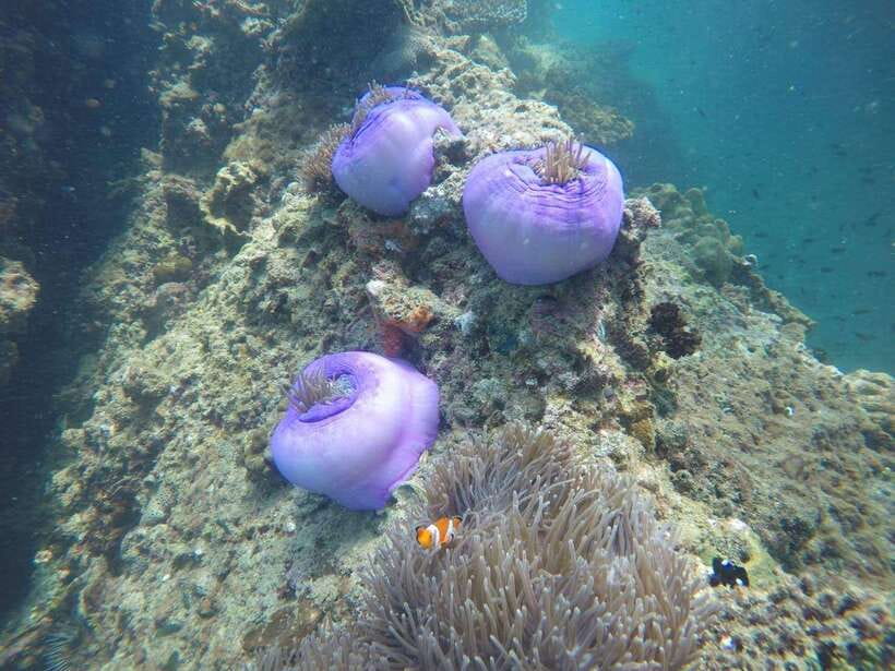 Krabi: 7 Islands Sunset Tour with Buffet Dinner & Snorkeling - Tup and Mor show why the tide matters