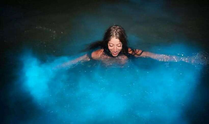 Krabi: 7 Islands Sunset Tour with Plankton Swim and BBQ - Why the plankton swim is worth understanding