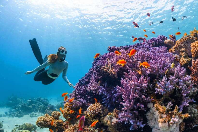 Krabi: 7 Islands Sunset Tour with Plankton Swim and BBQ - Transfers, timing, and group-trip realities