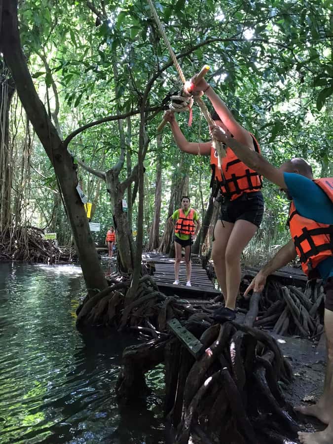 Krabi: Amazon Klong Srakaew Kayaking With Lunch - Who will enjoy this three-hour outing?