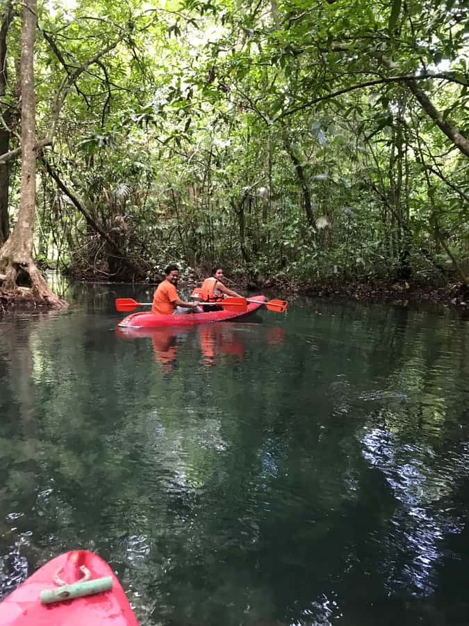Krabi: Amazon Klong Srakaew Kayaking With Lunch - Floating with the current