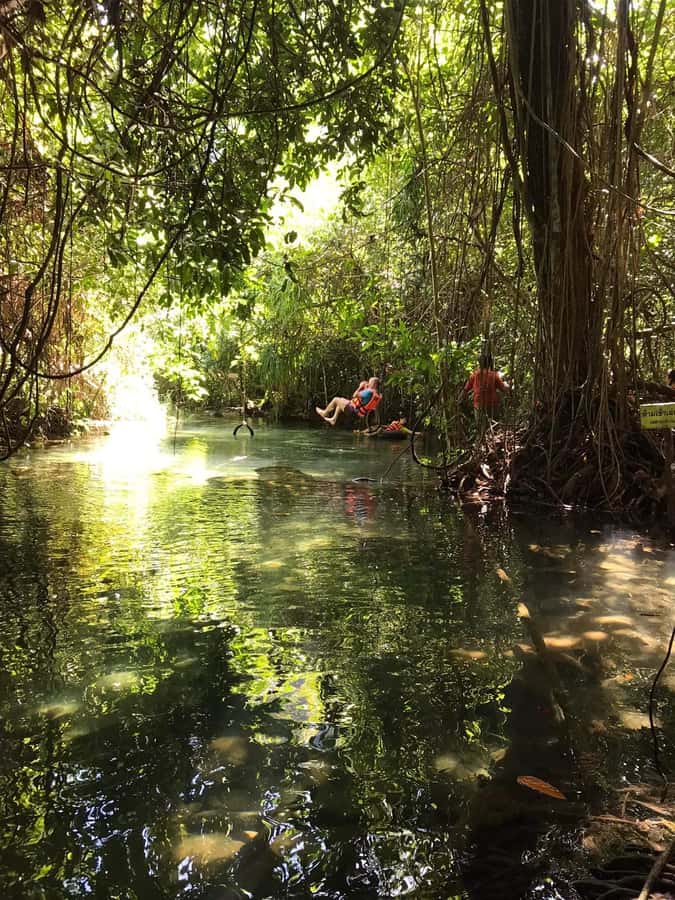 Krabi: Amazon Klong Srakaew Kayaking With Lunch - Lunch beside the water
