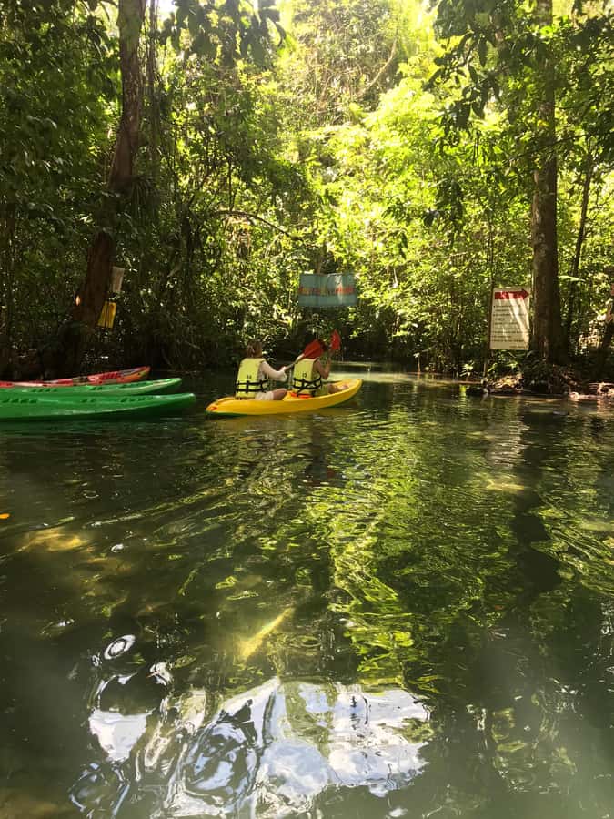 Krabi: Amazon Klong Srakaew Kayaking With Lunch - Arrival and hotel pickup