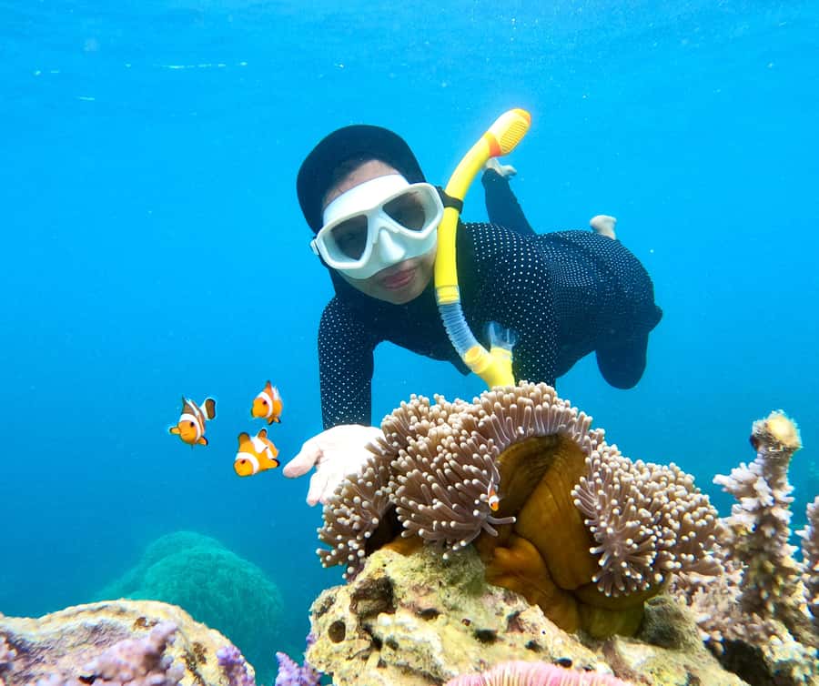 Krabi: Bioluminescent Plankton, Snorkeling & Sunset Tour - What the $40 price really covers