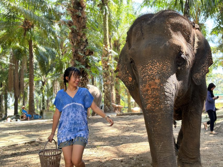 Krabi: Elephant Bathing Session at Krabi Elephant Shelter - Meeting the elephants before the water