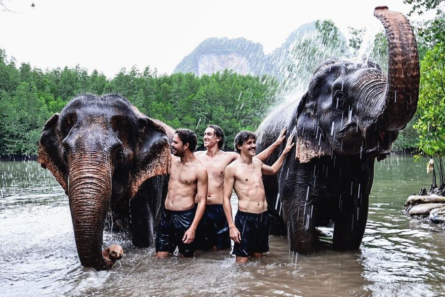 Krabi: Elephant Bathing Session at Krabi Elephant Shelter - Feeding time gives you a gentler introduction