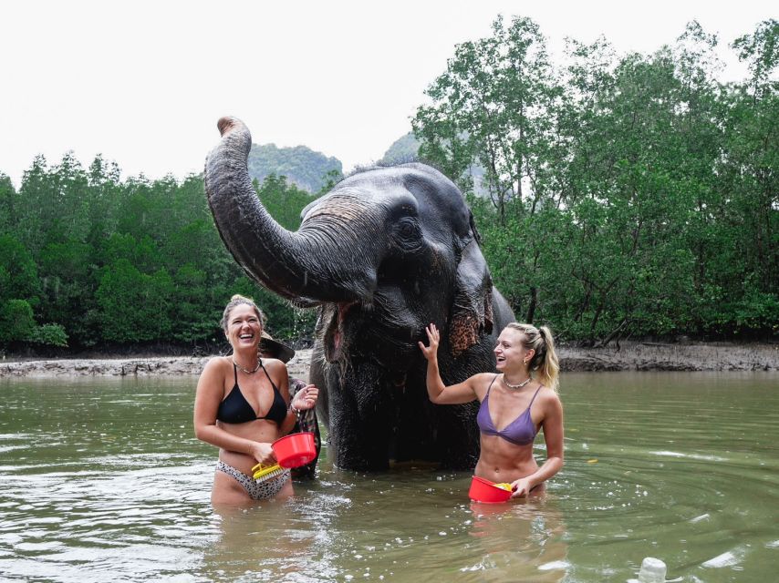 Krabi: Elephant Bathing Session at Krabi Elephant Shelter - A 90-minute visit that fits a Krabi itinerary