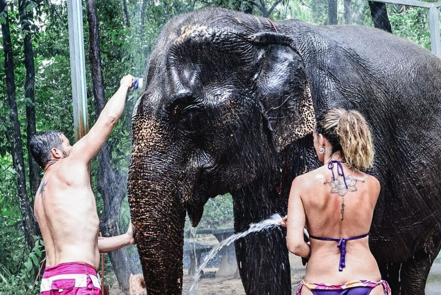 Krabi: Elephant Bathing Session at Krabi Elephant Shelter - Who will enjoy this most