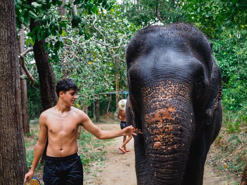 Krabi: Elephant Bathing Session at Krabi Elephant Shelter - My verdict on Krabi Elephant Shelter