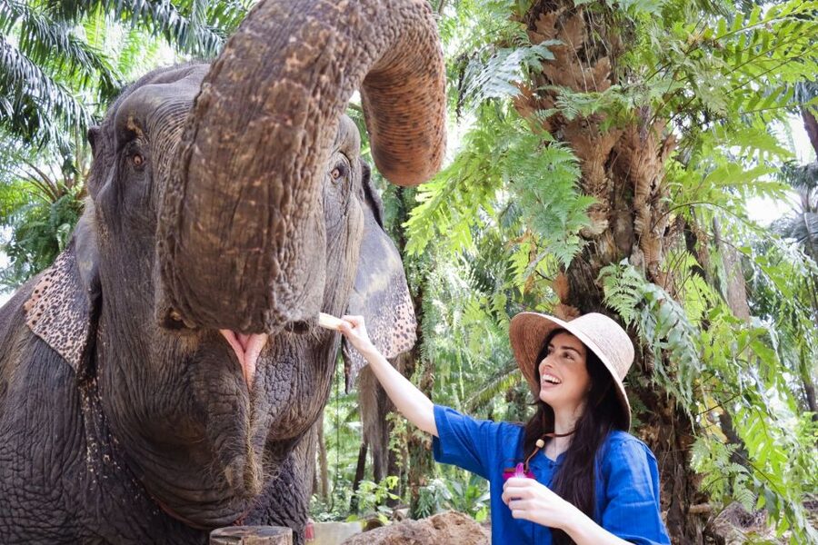 Krabi: Elephant Bathing Session at Krabi Elephant Shelter - Scrubbing and showering in the lush outdoor setting