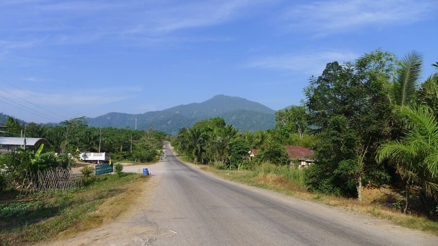 Krabi: Elephant Care House Guided Tour with Hotel Transfers - A forest setting near Krabi Town