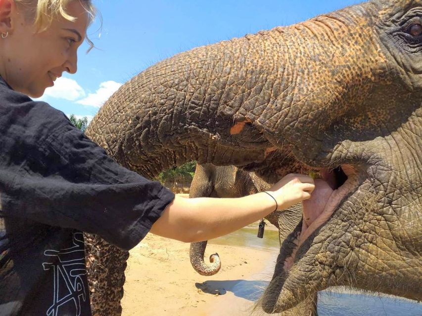Krabi: Elephant Care House Guided Tour with Hotel Transfers - Pickup from the beach resorts