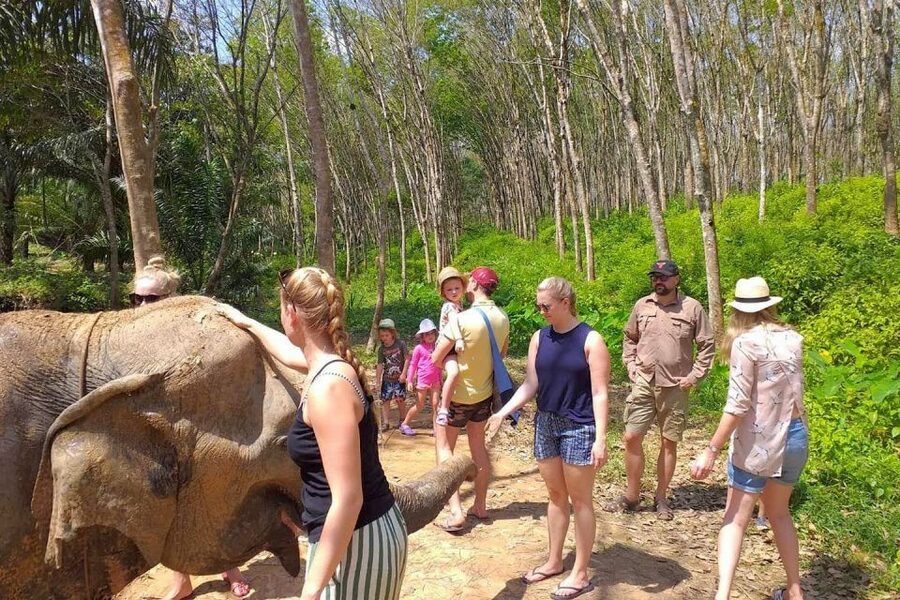 Krabi: Elephant Care House Guided Tour with Hotel Transfers - Making food before meeting the elephants