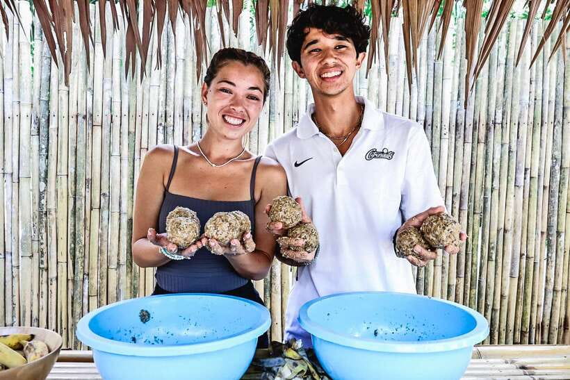 Krabi: Elephant Feeding Program - Is $27 good value?