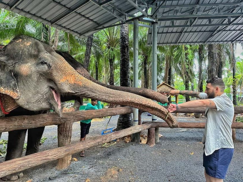Krabi: Elephant Feeding Program with Food Preparation - What this Krabi elephant visit really offers