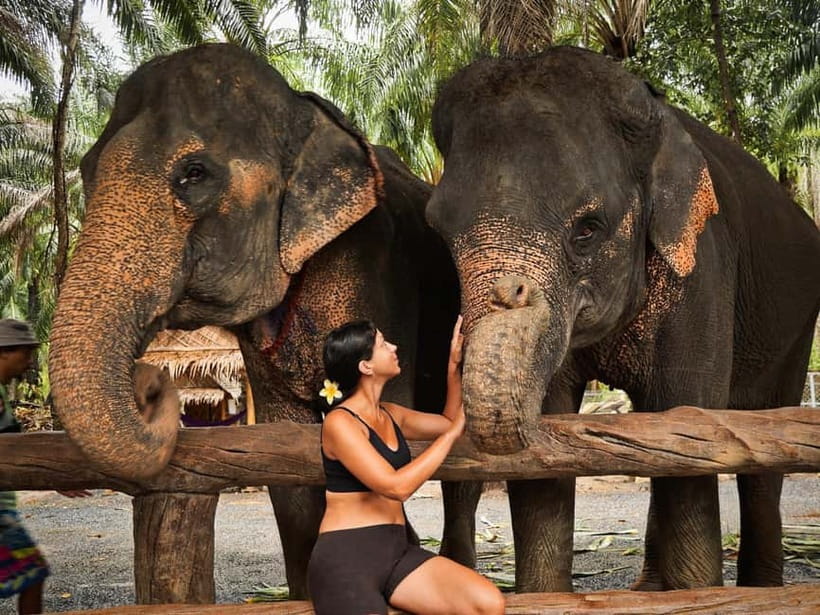 Krabi: Elephant Feeding Program with Food Preparation - What makes the feeding feel respectful