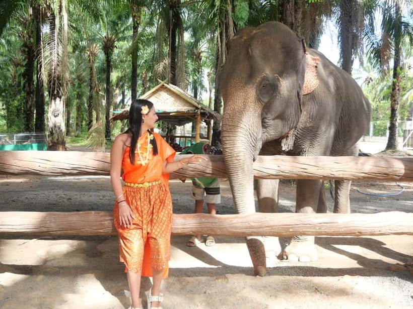Krabi: Elephant Feeding Program with Traditional Thai Dress - Feeding bananas or sugar cane