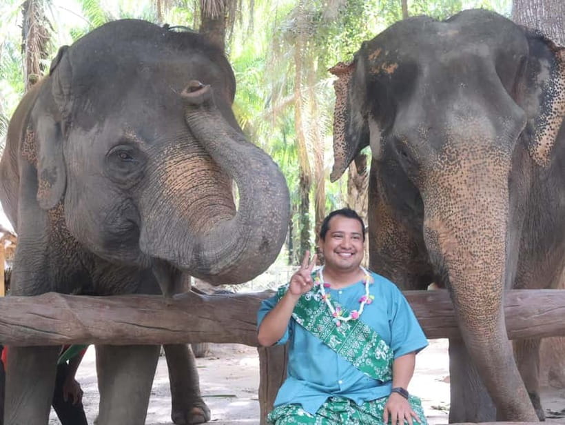 Krabi: Elephant Feeding Program with Traditional Thai Dress - What the short 30-minute format means