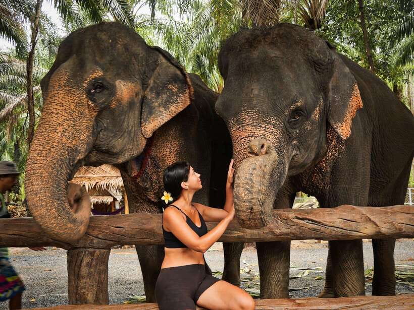Krabi: Elephant Feeding Program - Preparing fruit and protein balls