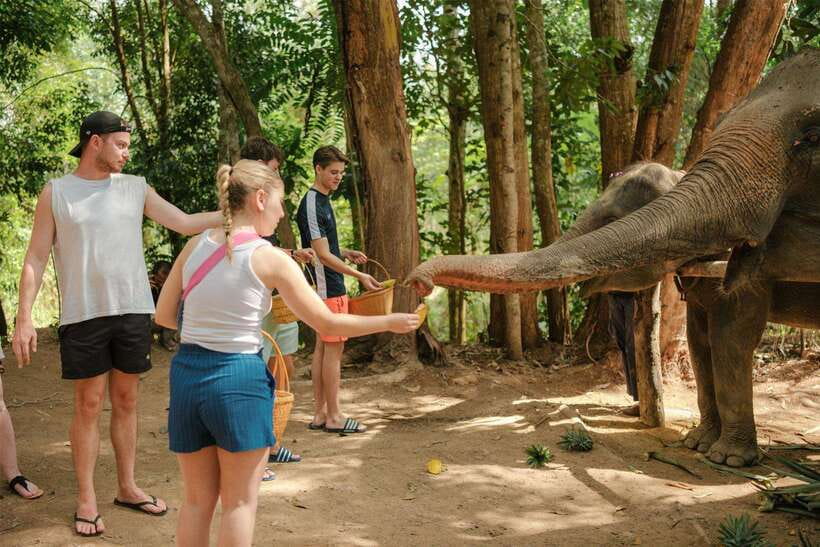 Krabi: Elephant Sanctuary (near Ao Nang) Visit - Key points to know before you book