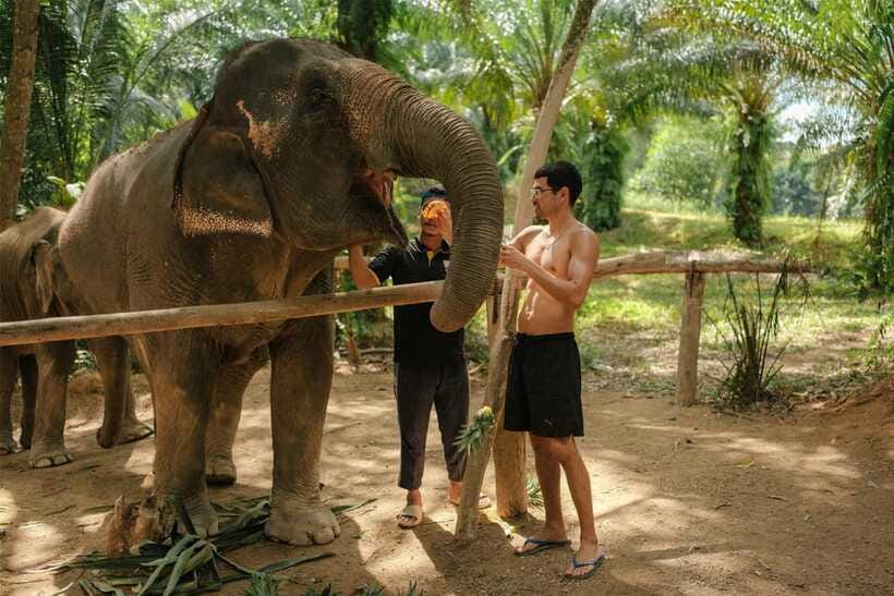 Krabi: Elephant Sanctuary (near Ao Nang) Visit - Photos without turning the elephants into props