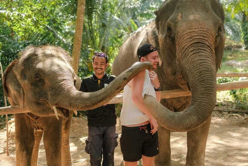 Krabi: Elephant Sanctuary (near Ao Nang) Visit - Booking time, cancellation, and practical details
