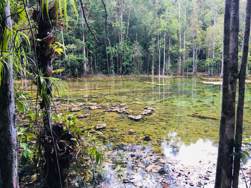Krabi: Emerald Pool and Hot Springs Waterfall Half-Day Trip - Simple preparation for a better day