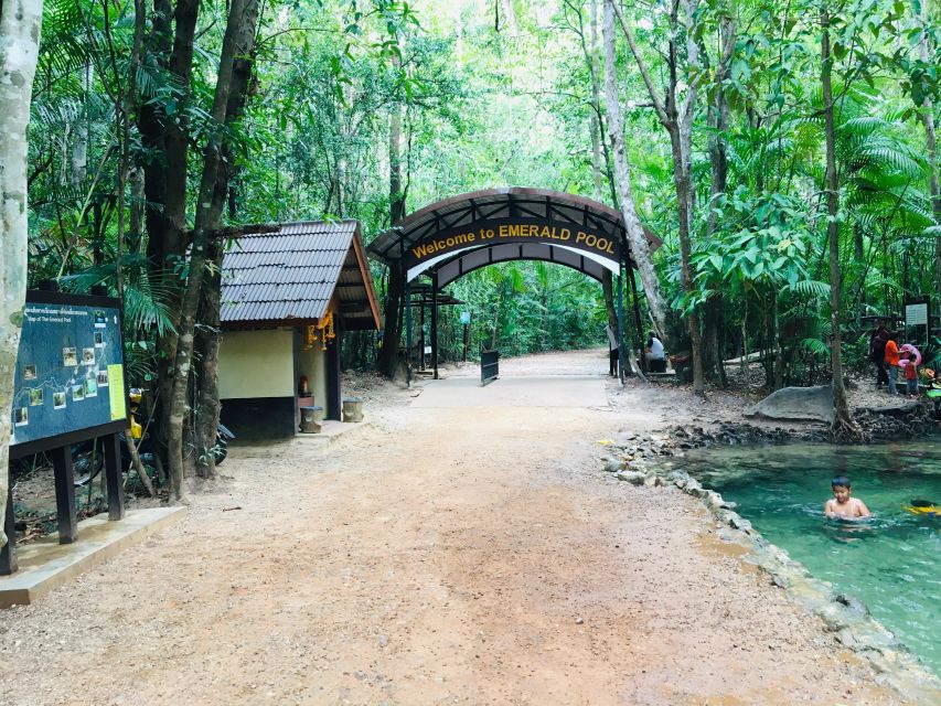 Krabi: Emerald Pool and Hot Springs Waterfall Half-Day Trip - Walking through the old forest