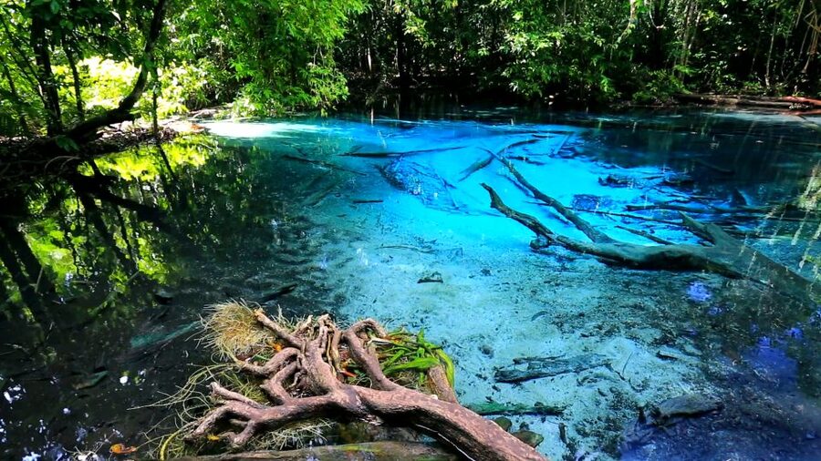 Krabi: Emerald Pool and Hot Springs Waterfall Half-Day Trip - Two hours at the Emerald Pool