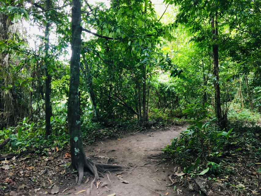Krabi: Emerald Pool and Hot Springs Waterfall Half-Day Trip - Leaving Krabi for Khao Phra Bang Khram