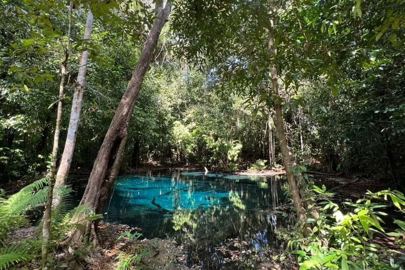 Krabi: Emerald Pool, Hot Springs, and Kayaking Tour - Booking, cancellation, and practical value