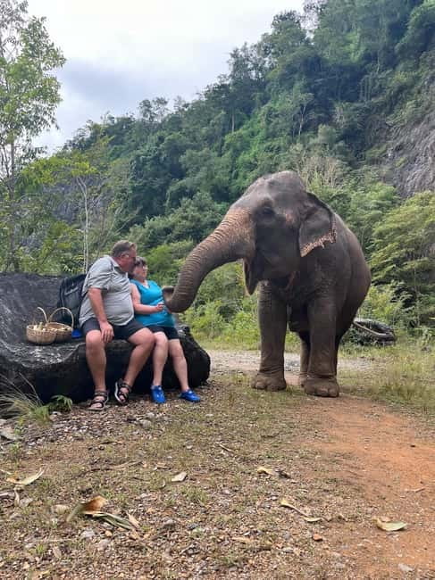 Krabi: Ethical Elephant Sanctuary & Tiger Cave Temple Tour - What to pack for the heat, mud, and temple rules